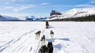 Surviving on a Dogsled Through the Arctic