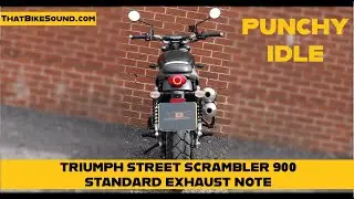 Triumph Street Scrambler 900 (2019-ON) Start & Idle | Engine Sound & Exhaust Note