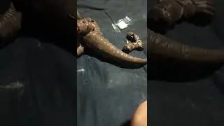 超動&alpha;ウルトラ怪獣 古代怪獣ゴモラ