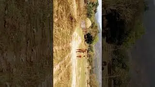 minute short video #dance #farewellvideo #shortclips #youtube