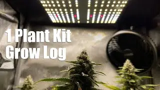 Seed to Harvest Grow with an AC Infinity Plant Kit System