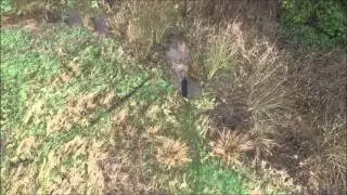 Wirral Gundogs: Barry Cooper - retrieve over 4 fences and a ditch