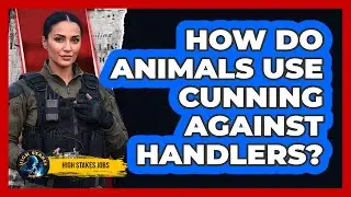 How Do Animals Use Cunning Against Handlers? - High Stakes Jobs