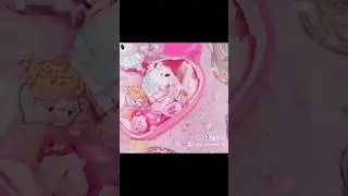 Secret Crush Pets | Secret Crush Mini Pets