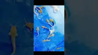 Desi magur fish . @the3mbrothers  #catfish #viral #fish #fishingvideo #shorts #farming #food