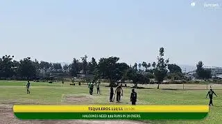 Tequileros vs Halcones Live Cricket Match | Halloween Series Live - TESISTAN Guadalajara