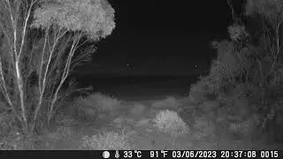 #08 Strange Light Anomaly Caught on Trail Cam