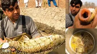 بزرگترین فارم ماهی در ولسوالی قرغه ای ولایت لغمان | The Largest Fish Farm in Laghman