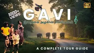 5 Secrets About Gavi's STUNNING Natural Beauty You Never Knew | இயற்கை அழகின் சிம்பொனி #4k #kerala