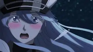 Akame vs esdeath amv