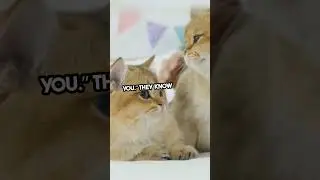 &ldquo;Why Your Cat Ignores You (It's Not What You Think!) | Animal Psychology Explained&rdquo;