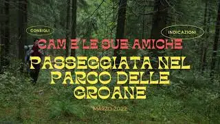 Trekking con il cane: Parco delle Groane - Bosco di Cesate