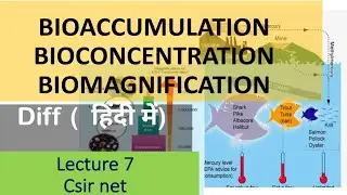 bioaccumulation bioconcentration and biomagnification diff. explained(हिंदी में)||CSIR NET lecture 7