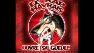 BOIS DE BLE STYLE FEAT MC PAS NETT MIXTAPE LE RAP HAVRAIS