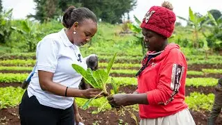 Meet The Brilliant Minds Behind Africa's Most Successful AI Solution To Hunger