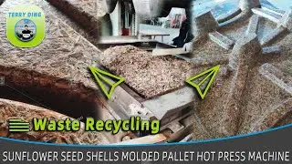 Waste Recycling - Sunflower Seed Shells Molded Pallet Hot Press Machine