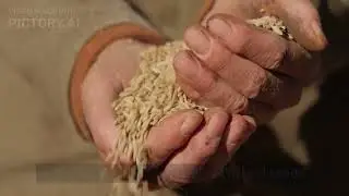 One Straw Revolution #naturalfarming #nature #goodhealth
