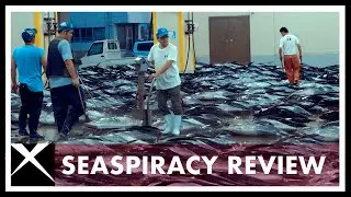 Seaspiracy Review | Seaspiracy Netflix Review | A Netflix Sea Conspiracy | Movie Complex Channel