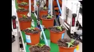 Kelgray Plant Pot Labelling at Arden Lea Nurseries