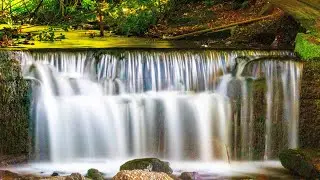 RELAXING SOUNDS OF SLITTING MILL WATERFALL AND BIRDS SINGING 4K