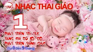 Nhạc Thai Giáo Từ 0 đến 9 Tháng, Giúp Bé Thông Minh Từ Trong Bụng Mẹ, Nhạc Thư Giãn Cho Mẹ Bầu !