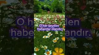 Hadid/ 10 | Kur&rsquo;an-ı Kerim Ayetleri | Her G&uuml;n Bir Ayet | Kısa ve Anlamlı
