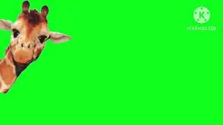 Geoffrey Tropical  Toys R Us Countdown 2002-2007 Times Square Green Screen