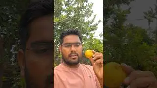 Plant Fraud Exposed