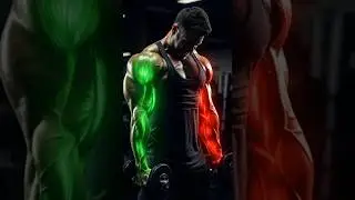 Biceps & Triceps Arm Workout 💪 | Fitness Motivation