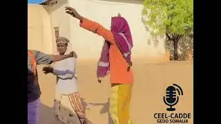 Baardheere iyo gaalayso 