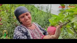 जब बेटियाँ संभालने लगीं Apple Orchard | Apple Farming | Unnati Apple | Indo-Dutch