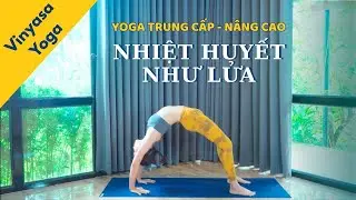 Vinyasa Yoga |Nhiệt huyết như lửa |Yoga trung cấp và nâng cao |Dưỡng Yoga #yoga