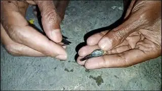 Meri Fish Mar Gayi 😢 | Bachche Bachane Ki Aakhri Koshish