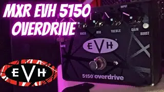 EVH 5150 OVERDRIVE FULL REVIEW