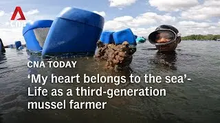 ‘My heart belongs to the sea’-Life as a third-generation mussel farmer