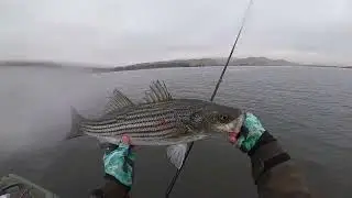 Epic Striper Fishing - Part 2 (O'Neill Forebay)