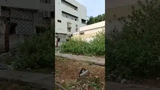 100 sq yards commercial site for sale 9642227555 kakinada 92*26 total 266 sq yards 80k