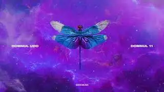 Domnul Udo - Scorpion feat. Super ED (Audio)
