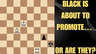 Один ход решает всё | Смогут ли белые найти победу?
#шахматы #эндшпиль #шахматнаястатика #шахматн...