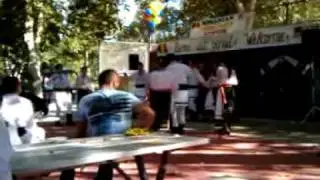 7th Annual Romanian Festival 2010 - 03