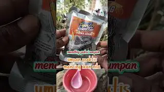umpan mancing ikan nila #umpanmancing #umpangacor