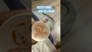 Frosty Paws Frozen Dog Treats #frostypaws #puppy #maltese #spoiledpup #dogmom