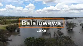 Balaluwewa Lake (Kalawewa),  Sri Lanka / The Art of Nature - Cinematic Landscape Drone Footage