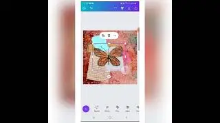 Create a digital collage in the free app called Canva.