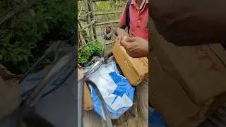 LIBERTY CLOGS #clogs #shortfeeds #crocs #viral #unboxing #shorts #trendingshorts