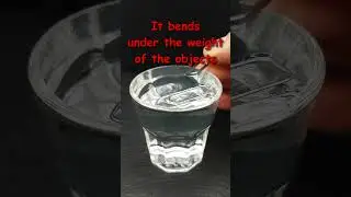 Water surface tension holds up a small coin: #physics #lab #experiment