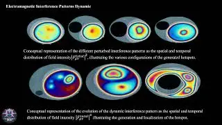 Part 2: Electrodynamic Field Tensor (Functional Non Locality of Electromagnetic Consciousness)