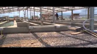 LC company producing algae for food, fuel