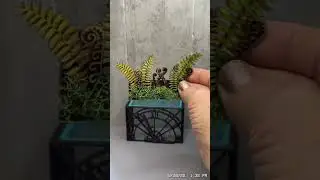 Miniature Madness #miniatures #dollhouse #tinystuff #cutemini #dollhousefurniture #minilife
