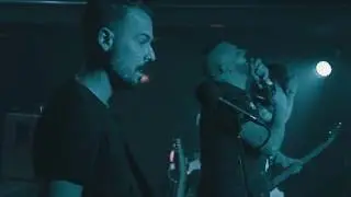 DOLLAR LLAMA - BOCANEGRA (OFFICIAL VIDEO)